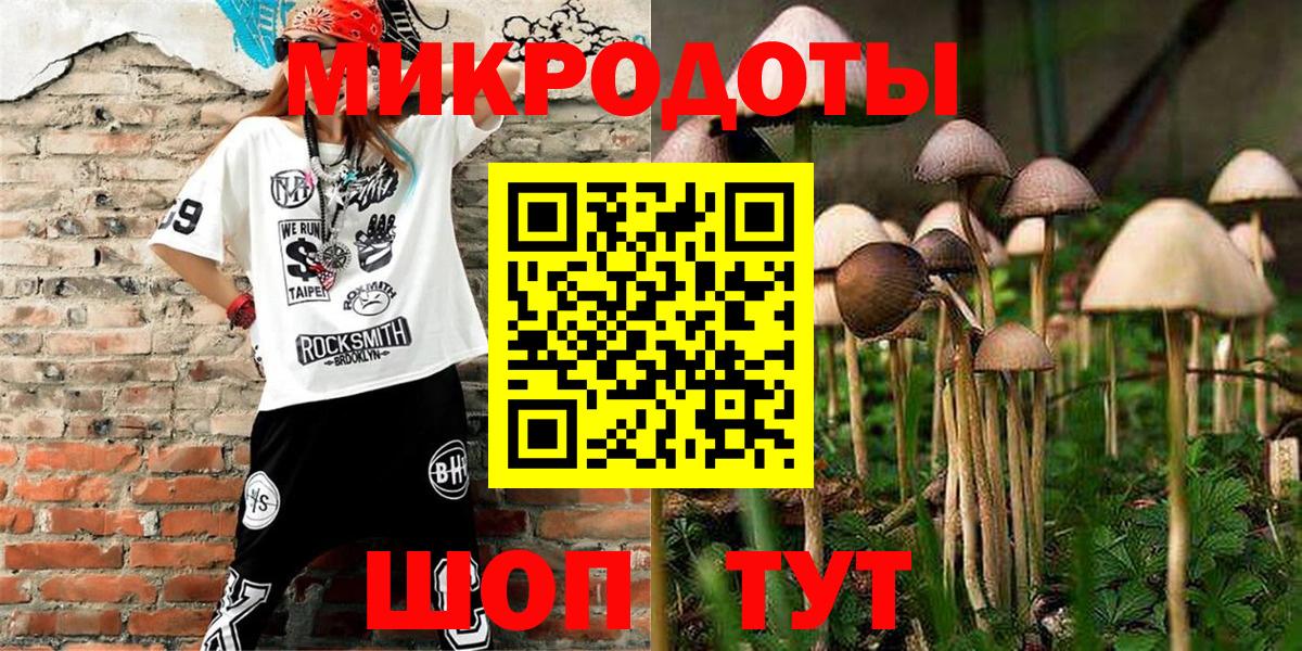 Псилоцибиновые грибы Cubensis Дмитров