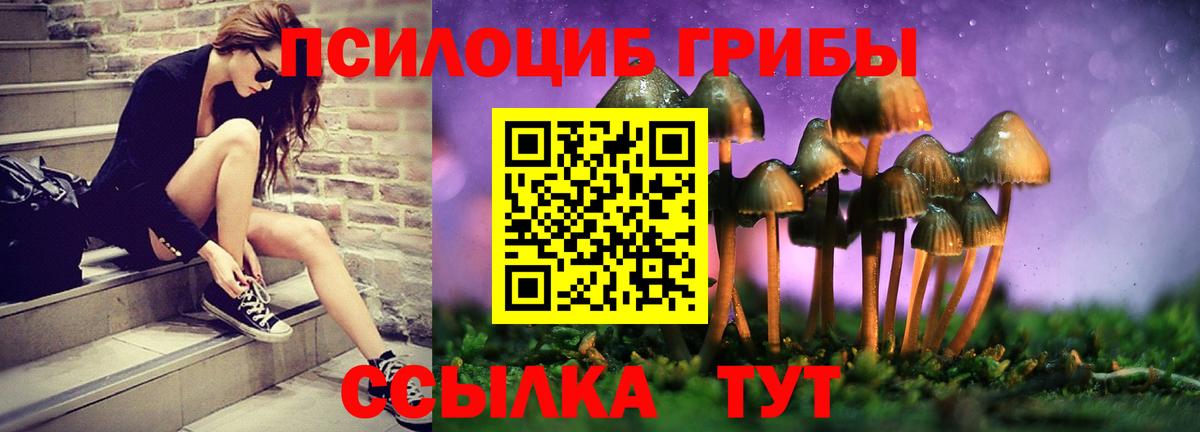 где купить   Вход с VPN  Дмитров  Галлюциногенные грибы ЛСД 